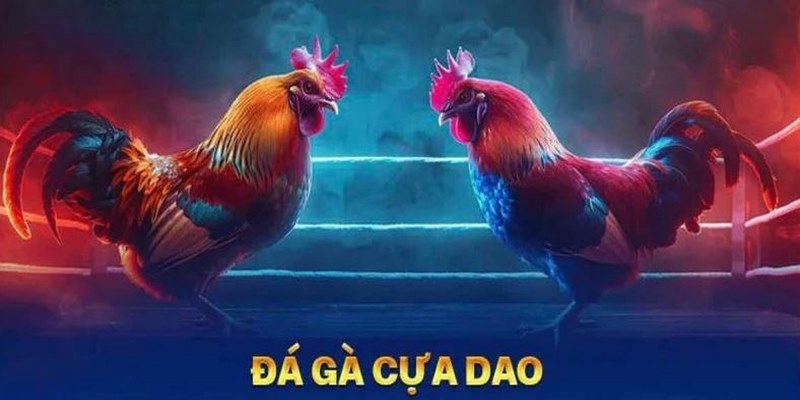 Sảnh đá gà CQ9 cung cấp kèo cược trận đấu cựa dao hấp dẫn